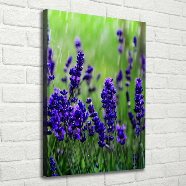Vertikální Foto obraz canvas Pole levandule ocv-68986983