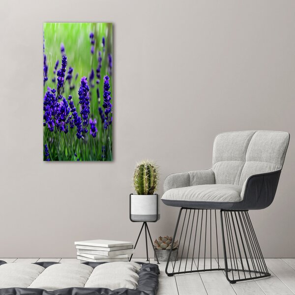 Vertikální Foto obraz canvas Pole levandule ocv-68986983