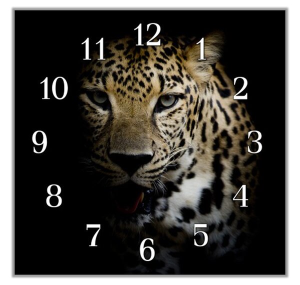 Nástěnné hodiny 30x30cm šelma leopard - plexi