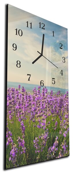 Nástěnné hodiny horská louka fialový květ 30x60cm - plexi
