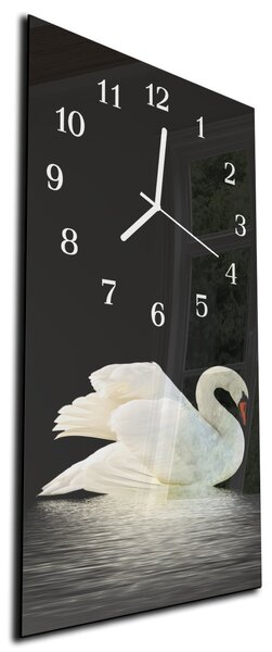 Nástěnné hodiny labuť 30x60cm I - plexi