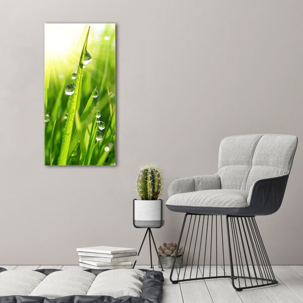 Vertikální Foto obraz canvas Stéblo trávy ocv-71116583