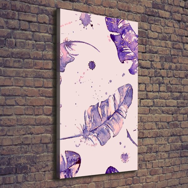 Vertikální Moderní fotoobraz canvas na rámu Péra ocv-72038403