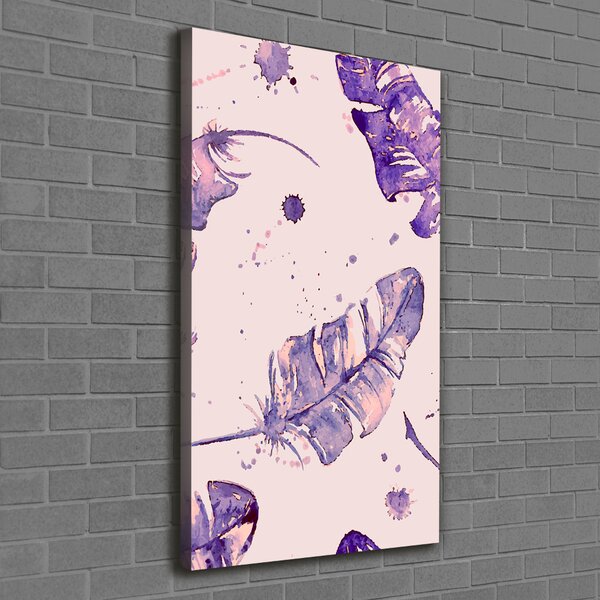 Vertikální Moderní fotoobraz canvas na rámu Péra ocv-72038403
