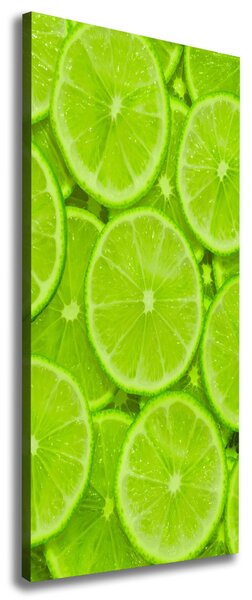 Vertikální Moderní obraz canvas na rámu Limetky ocv-73344047