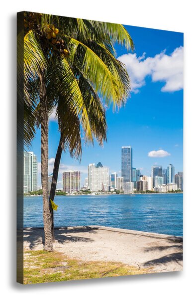 Vertikální Foto obraz tištěný na plátně Miami ocv-73307361