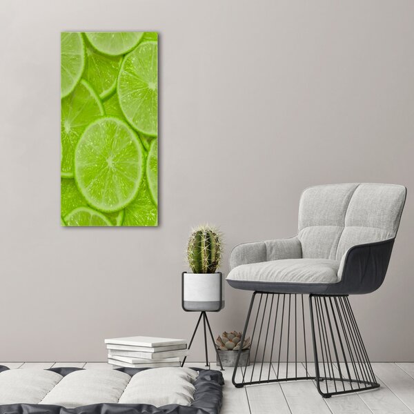 Vertikální Moderní obraz canvas na rámu Limetky ocv-73344255