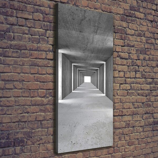 Vertikální Foto-obraz canvas na rámu Betonový tunel ocv-73367796