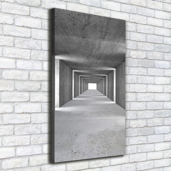 Vertikální Foto-obraz canvas na rámu Betonový tunel ocv-73367796