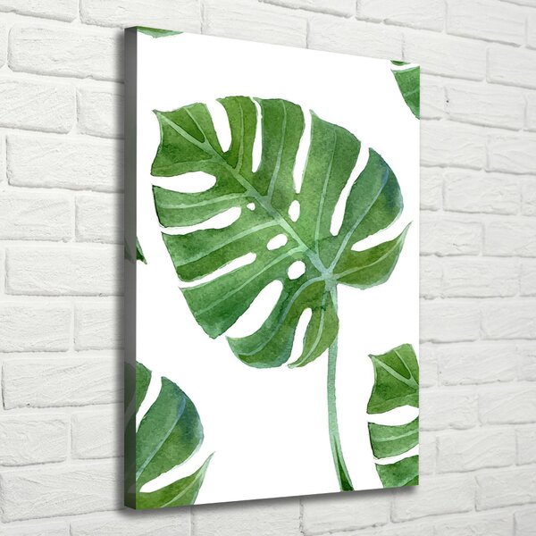 Vertikální Vertikální Foto obraz na plátně do obýváku Monstera ocv-73453998