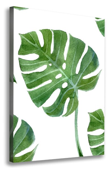 Vertikální Vertikální Foto obraz na plátně do obýváku Monstera ocv-73453998