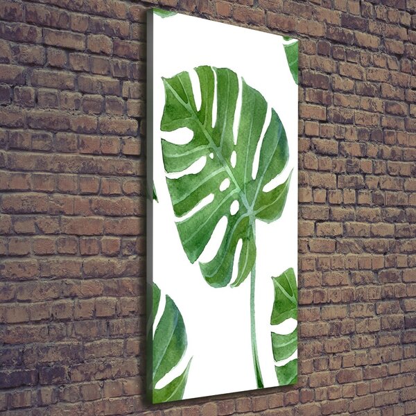 Vertikální Vertikální Foto obraz na plátně do obýváku Monstera ocv-73453998