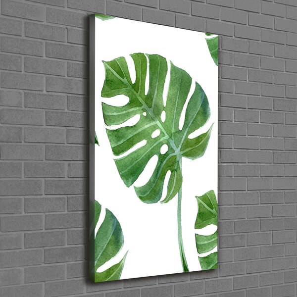 Vertikální Vertikální Foto obraz na plátně do obýváku Monstera ocv-73453998