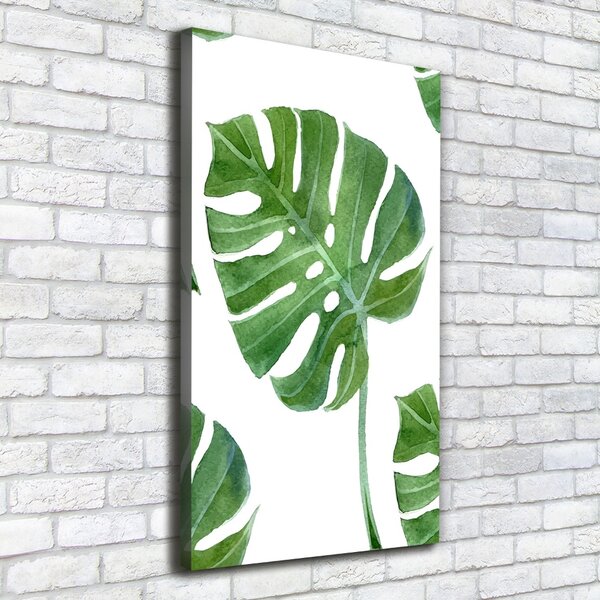 Vertikální Vertikální Foto obraz na plátně do obýváku Monstera ocv-73453998