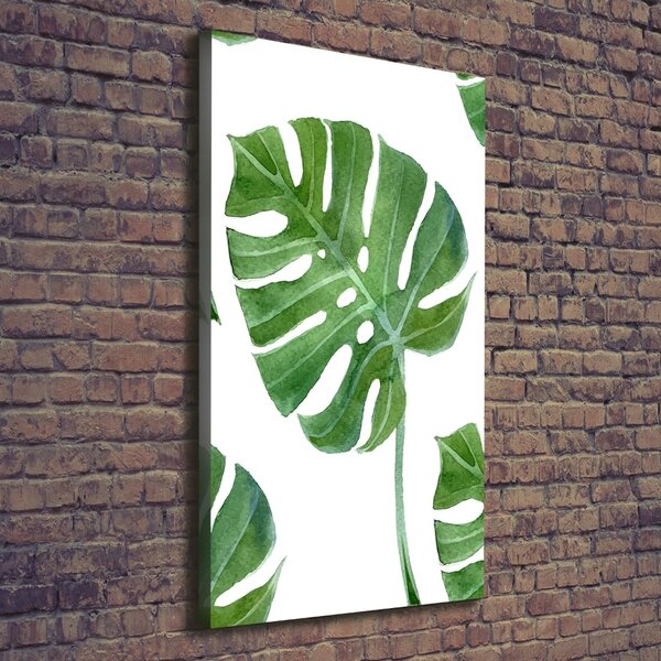 Vertikální Vertikální Foto obraz na plátně do obýváku Monstera ocv-73453998