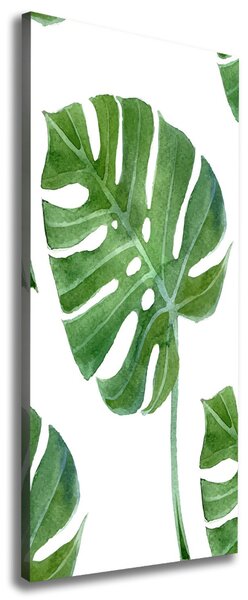 Vertikální Vertikální Foto obraz na plátně do obýváku Monstera ocv-73453998