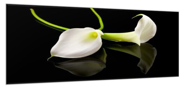Obraz skleněný bílá kala na černém pozadí - 30 x 60 cm