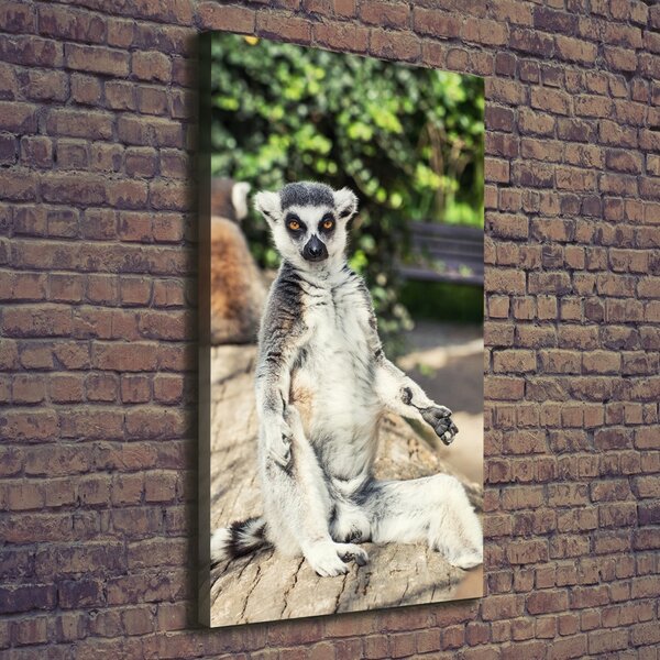 Vertikální Foto obraz tištěný na plátně Lemur ocv-75982744