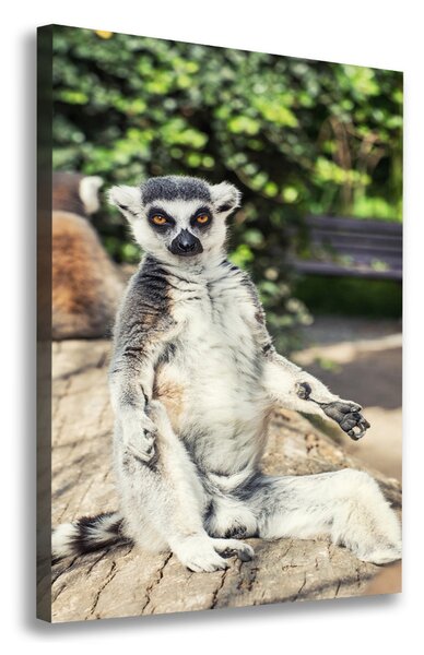 Vertikální Foto obraz tištěný na plátně Lemur ocv-75982744