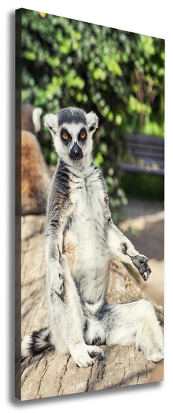 Vertikální Foto obraz tištěný na plátně Lemur ocv-75982744