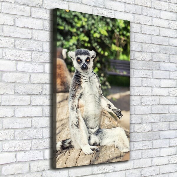 Vertikální Foto obraz tištěný na plátně Lemur ocv-75982744