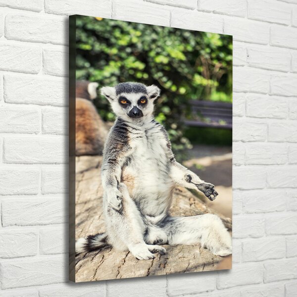 Vertikální Foto obraz tištěný na plátně Lemur ocv-75982744