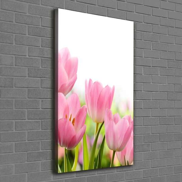 Vertikální Foto obraz na plátně Růžové tulipány ocv-76412458
