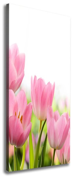 Vertikální Foto obraz na plátně Růžové tulipány ocv-76412458