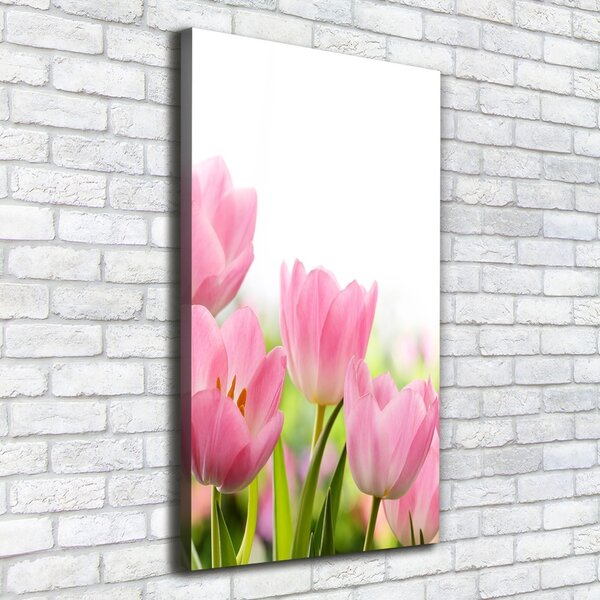 Vertikální Foto obraz na plátně Růžové tulipány ocv-76412458