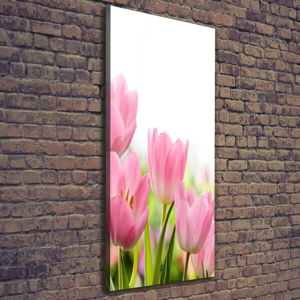 Vertikální Foto obraz na plátně Růžové tulipány ocv-76412458