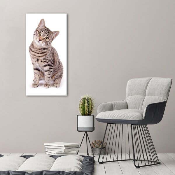 Vertikální Foto obraz canvas Kocour ocv-78018175