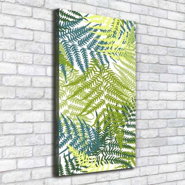 Vertikální Foto obraz na plátně Listí kapraciny ocv-78215307