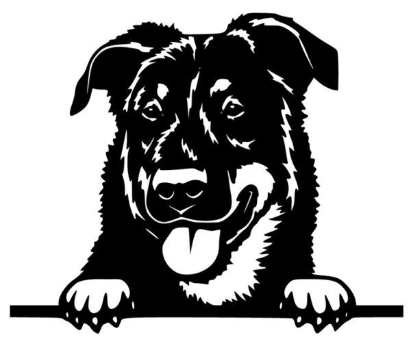 Samolepka pes Beauceron