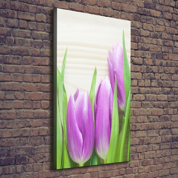 Vertikální Foto obraz na plátně Fialové tulipány ocv-78755149