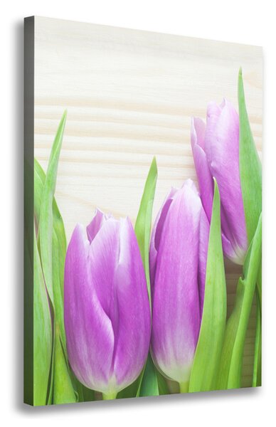 Vertikální Foto obraz na plátně Fialové tulipány ocv-78755149