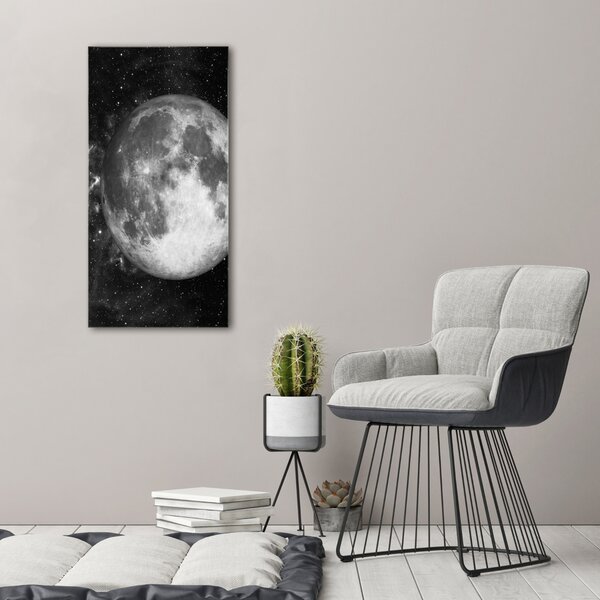 Vertikální Moderní obraz canvas na rámu Měsíc ocv-79513509