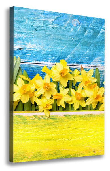 Vertikální Moderní obraz canvas na rámu Narcisy ocv-79578673
