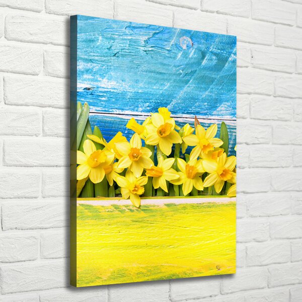 Vertikální Moderní obraz canvas na rámu Narcisy ocv-79578673
