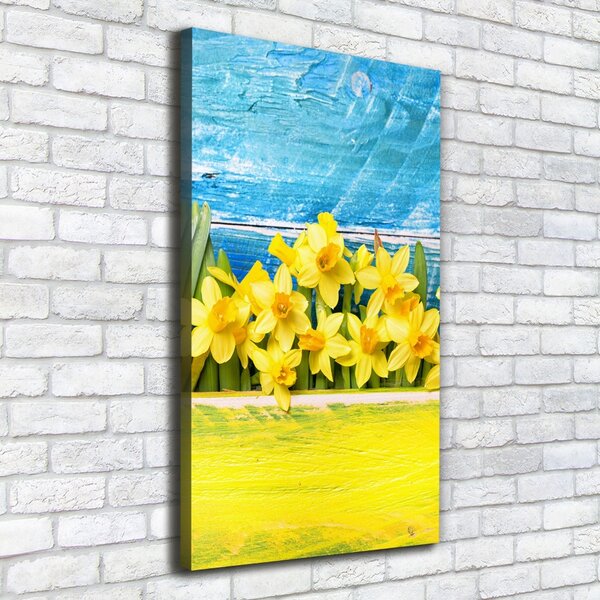Vertikální Moderní obraz canvas na rámu Narcisy ocv-79578673