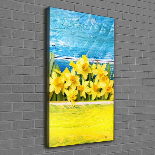 Vertikální Moderní obraz canvas na rámu Narcisy ocv-79578673