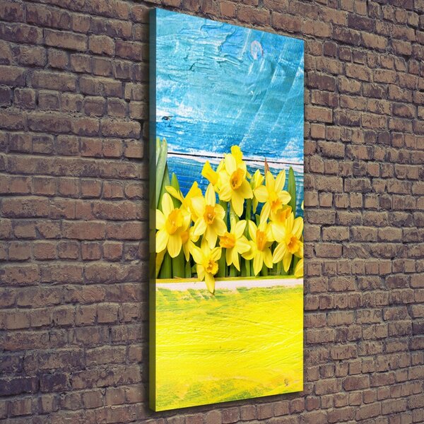 Vertikální Moderní obraz canvas na rámu Narcisy ocv-79578673