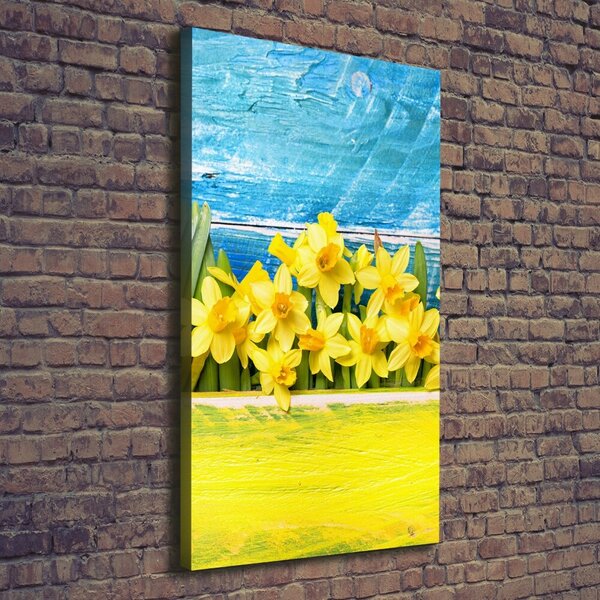 Vertikální Moderní obraz canvas na rámu Narcisy ocv-79578673