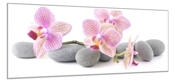 Obraz skleněný růžové květy orchidejí na šedých kamenech - 60 x 90 cm