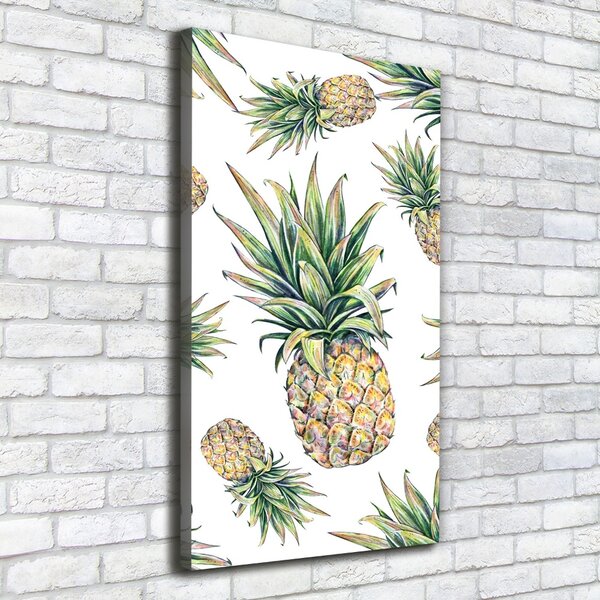 Vertikální Moderní obraz canvas na rámu Ananasy ocv-81401502