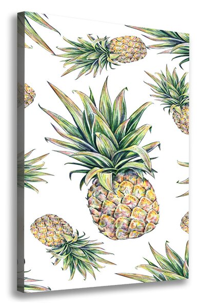 Vertikální Moderní obraz canvas na rámu Ananasy ocv-81401502