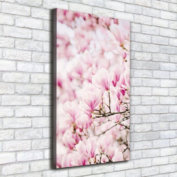 Vertikální Foto obraz na plátně Květy magnolie ocv-81680689