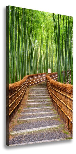 Vertikální Foto obraz na plátně Bambusový les ocv-81607376