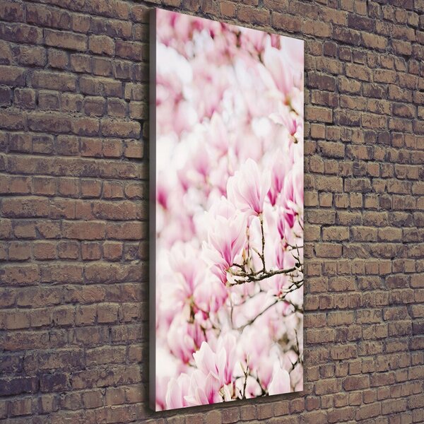 Vertikální Foto obraz na plátně Květy magnolie ocv-81680689