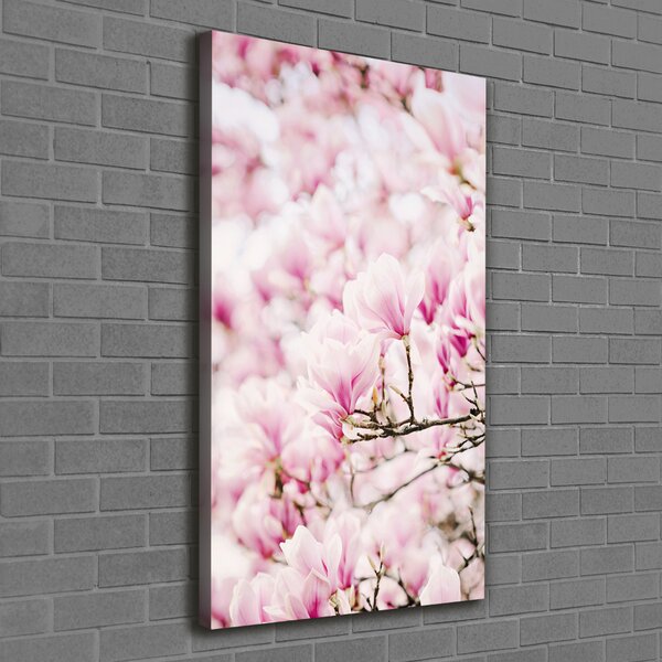 Vertikální Foto obraz na plátně Květy magnolie ocv-81680689