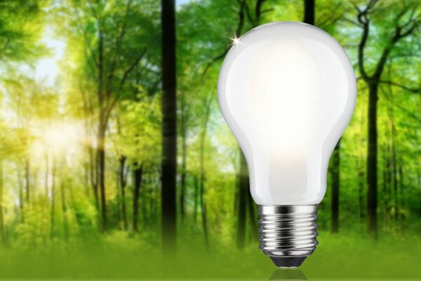 PAULMANN Eco-Line Filament 230V LED žárovka E27 8,2W 3000K stmívatelné mat